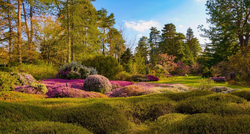 Arboretum des Grandes Bruyères, Ingrannes, France, France